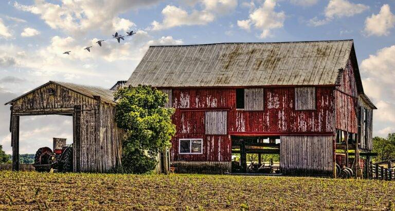 Insulated Doors: Keeping Homes Cozy and Efficient