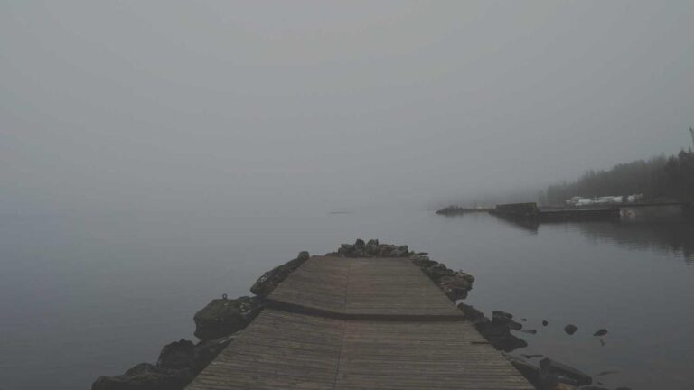 What Is The Role Of The 11Xplay Pro Client Software?