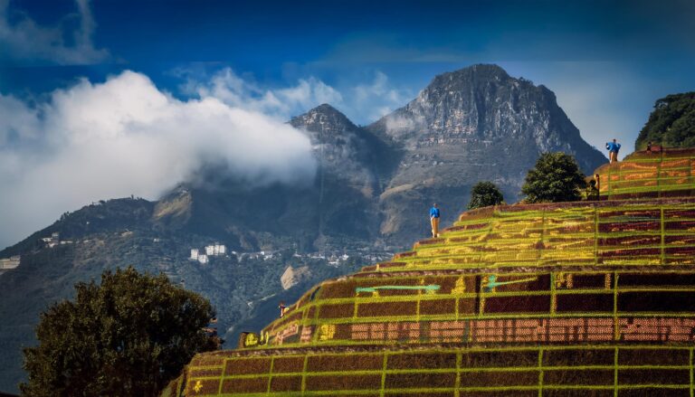 Laser247 India – Complete Guide to Sports Betting & Casino